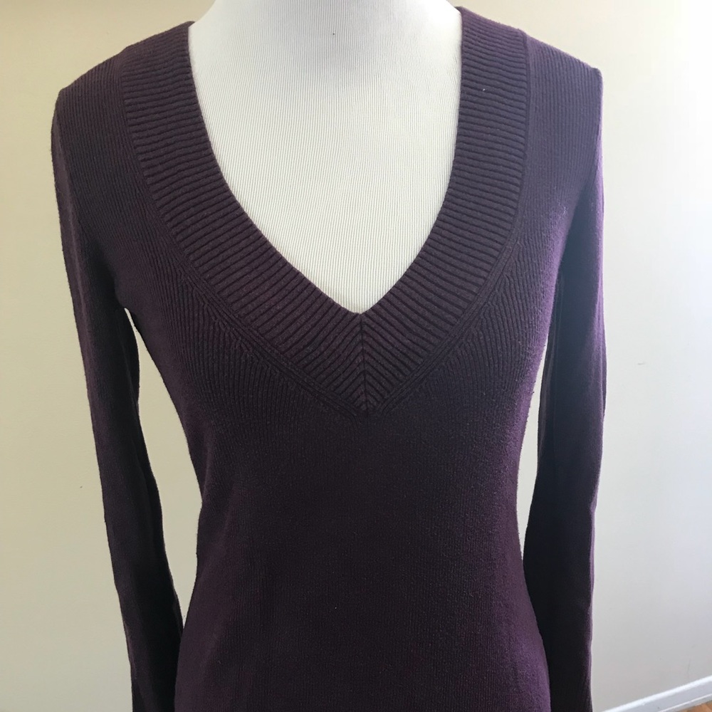 Express size S plum sweater
